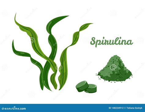 Sistema De Spirulina Alga P Ldoras Y Polvo Aislados En El Fondo Blanco