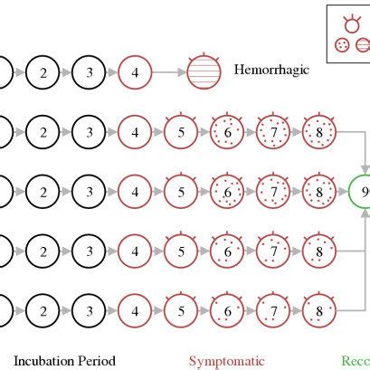 Smallpox stages used in the simulation model. Flat and ordinary... | Download Scientific Diagram