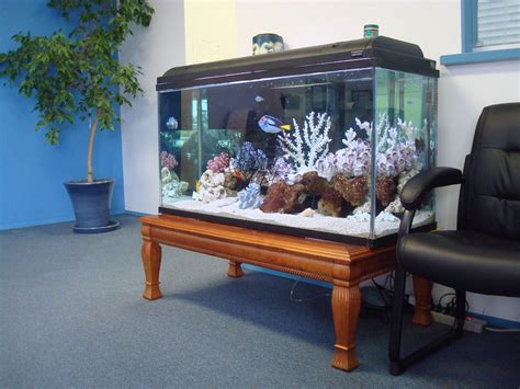 Gallon Saltwater Aquarium Out Of The Blue Creations Flickr