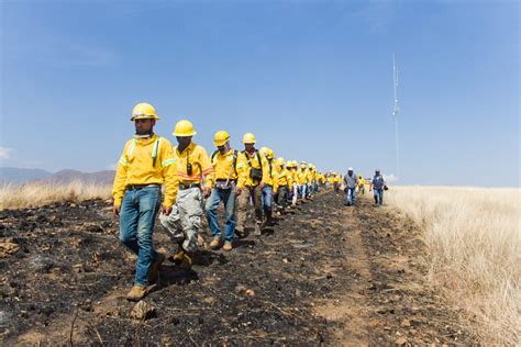 Foto 1 Combatientes De Incendios Forestales Héroes Protectores De Los Bosques De Oaxaca