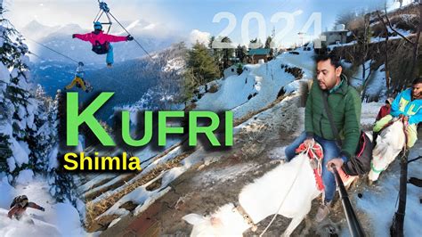 Kufri Shimla 2024 Kufri Tourist Places Shimla Tourist Placea Tour