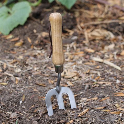 Stainless Steel Gardening Fork The Seed Collection