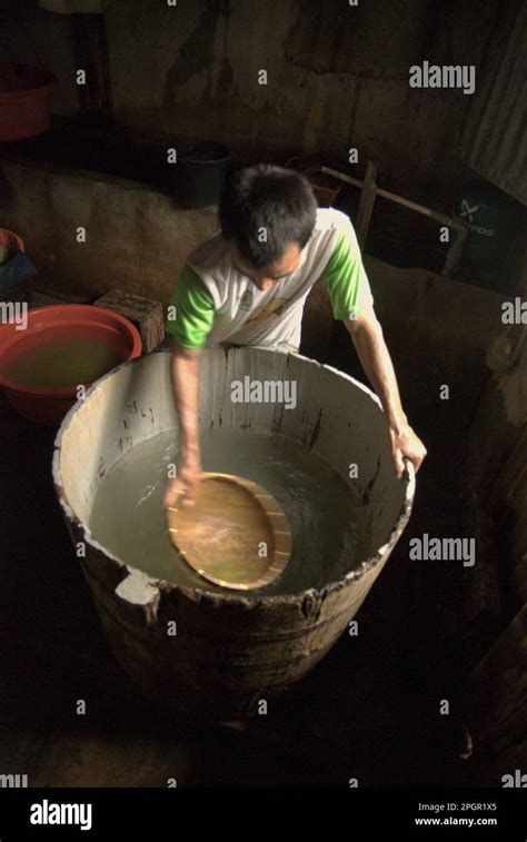 Un travailleur agite de l eau douce dans un baril où les haricots mung