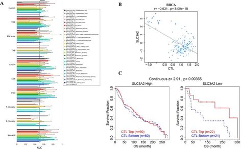 Integrated Analysis Of FKBP1A SLC3A2 Axis In Everolimus Inducing