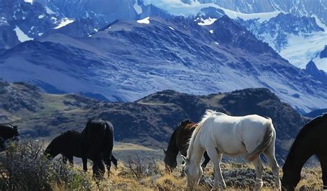 La Pampa guía completa de turismo qué ver y qué hacer