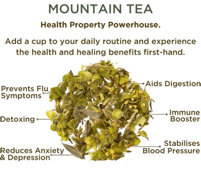 Greek Organic Mountain Tea From Mount Olympus | The Mountain Tea