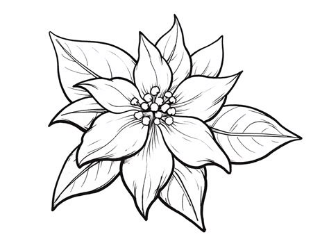 Beautiful Poinsettia Coloring Page Coloring Page