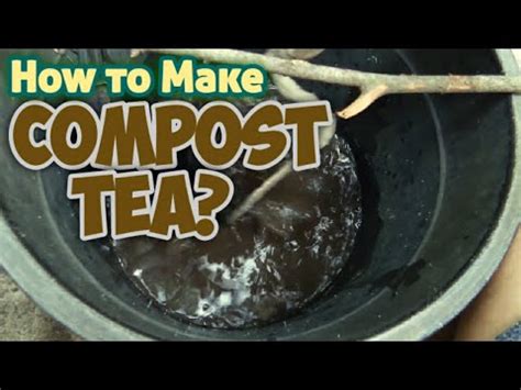 How To Make Compost Tea Producing Organic Liquid Fertilizer YouTube