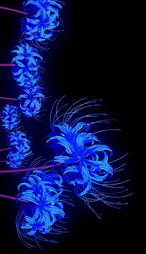 Blue Spider Lily Wallpapers Bonitos Wallpapers Femininos L Rios