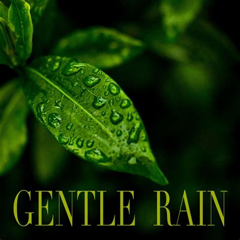 Rain Sounds - Gentle Rain | iHeart