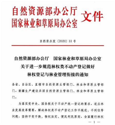 创新运用三维森林完成绩溪林权地籍调查 顺利通过省级验收合肥润田规划设计有限公司 【官网】