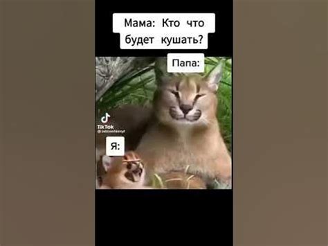 шлепа #пельмени - YouTube