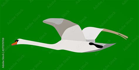 Swan In Flight Graphic Stock Illustration Adobe Stock