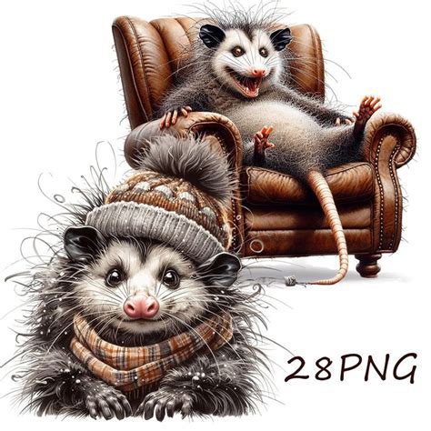 Funny Possum Images Funny Possum Illustrations For Printing On Any