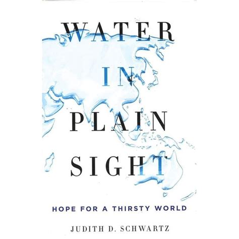 BBW Water In Plain Sight ISBN 9781250069917 Shopee Malaysia