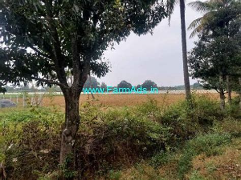 Acres Farm Land For Sale Km From Kolar Kolar Farmads In