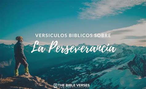 23 Versículos de la Biblia de Perseverancia y Esfuerzo Textos Bíblicos