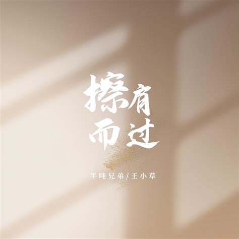 ‎擦肩而过 烟嗓版 Single Album By Half Ton Brother And 王小草 Apple Music