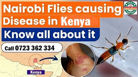 Jopestkil Kenya Nairobi Fly & Narrow Bee Fly Control Services