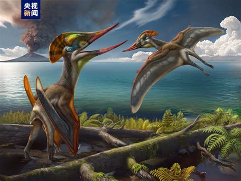 中国和巴西科研人员建立热河生物群一新属种——友好美丽飞龙四川在线