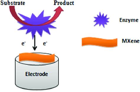 Schematic Representation For Direct Electron Transfer Process