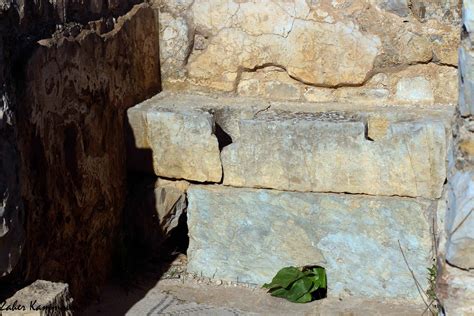 Zaher Kammoun Les Latrines Romaines En Tunisie