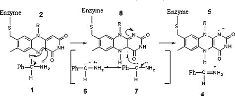 A Computational Study On The Amine Oxidation Mechanism Of Monoamine