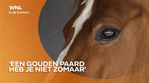 Presentator Annette Van Trigt Maakt Docu Over Brabantse Paardenfokker