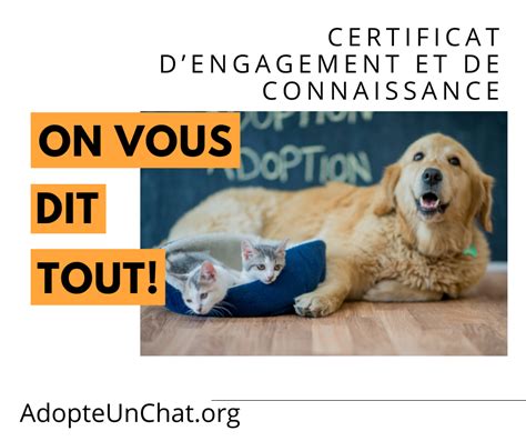 Certificat Dengagement Et De Connaissance