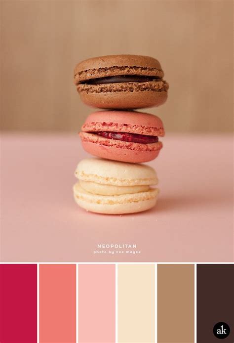 A Neopolitan Macaron Inspired Color Palette Strawberry Pink Vanilla