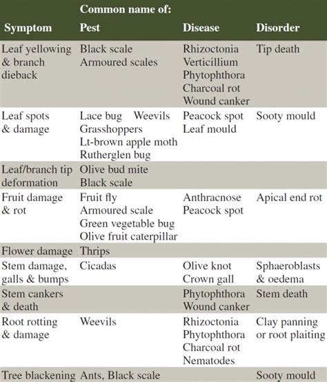 Australian Olives Olive Pests And Diseases