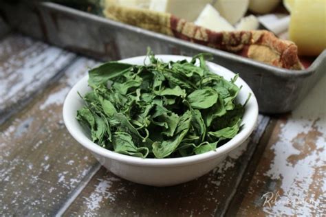 How To Dehydrate Spinach