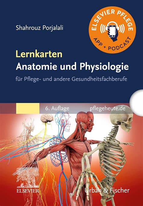 Lernkarten Anatomie Und Physiologie F R Pflege Und Andere