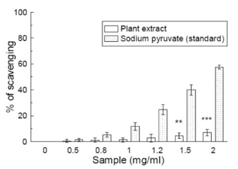 H2o2 Scavenging Assay Effects Of Spondias Pinnata Plant Extract And