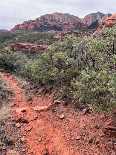 Hike Secret Canyon Tall Canyon Walls And Solitude Wildpathsaz