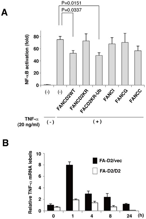 Fancd Negatively Regulates Nf Kb Activity And Tnfa Transcription A