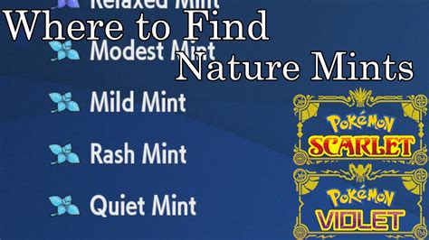 Pokemon Scarlet And Violet Where To Find Nature Mints YouTube