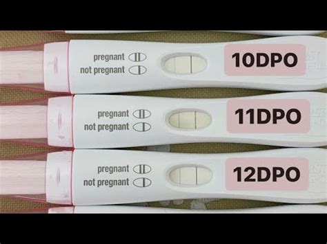 Test Na Trudno U Pregnancy Test Line Progression Dpo Dpo