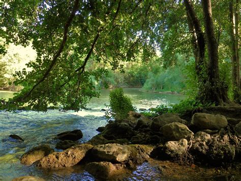 Riberas Caracter Sticas Importancias Y Bosques Ribere Os