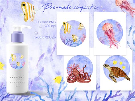 Watercolor sea creatures | Behance