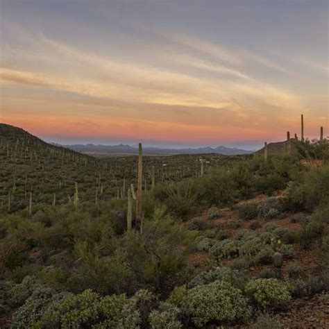 Attractions | Visit Tucson