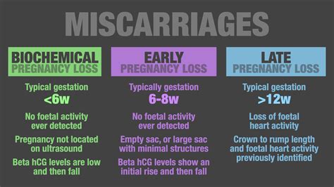 Pregnancy Medic Summaries