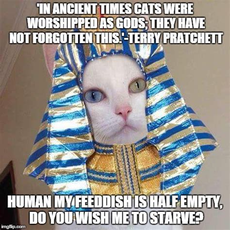 egyptian cat Memes & GIFs - Imgflip