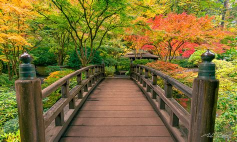 Moon Bridge, Portland Japanese Garden - Mike Putnam Photography