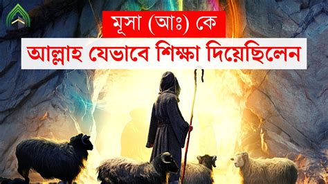 মূসা আঃ ও খিজিরের কাহিনী L মূসা আঃ কে আল্লাহ যেভাবে শিক্ষা