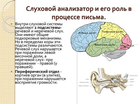 Дисграфия. Дислексия - презентация онлайн