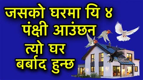 जसको घरमा यि ४ पंक्षी आउंछन त्यो घर बर्बाद हुन्छvastu Tips Youtube