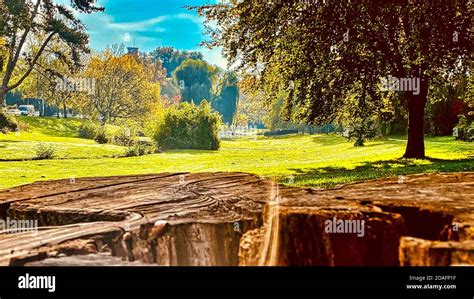 Sony a600 hi-res stock photography and images - Alamy