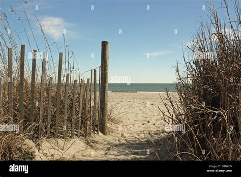 Sea Oats Sand Fencing And Dunes Frame The Path Onto A Quiet Beach