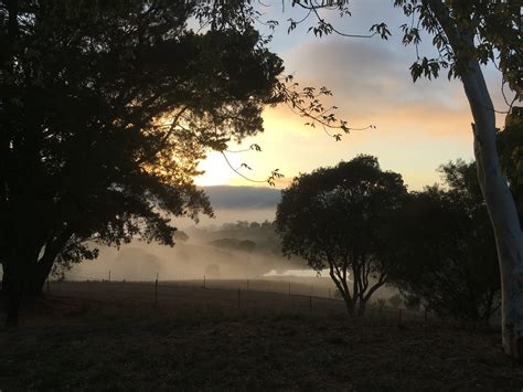 Basil Brush Wildlife Rescue... - Basil Brush Wildlife Rescue